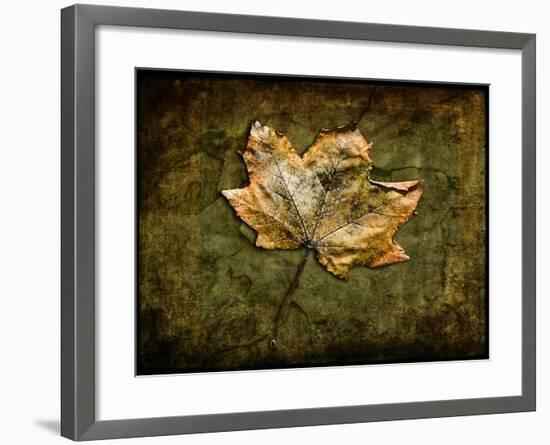 Metallic Leaf 1-LightBoxJournal-Framed Giclee Print