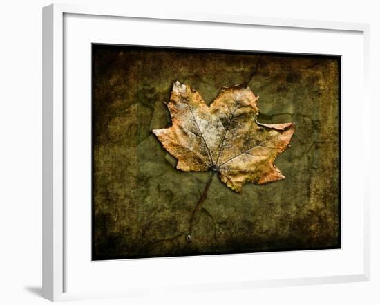 Metallic Leaf 1-LightBoxJournal-Framed Giclee Print