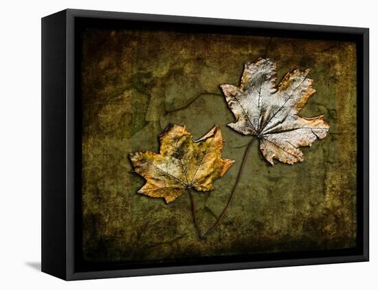 Metallic Leaf 2-LightBoxJournal-Framed Premier Image Canvas