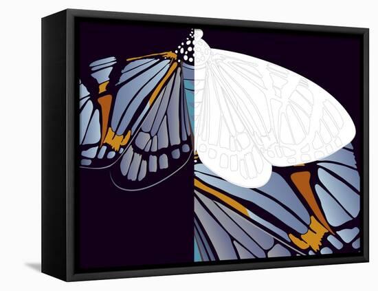 Metamorphosis of Iris-Belen Mena-Framed Premier Image Canvas