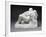 Metamorphosis of Ovid, c.1886-Auguste Rodin-Framed Photographic Print