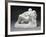 Metamorphosis of Ovid, c.1886-Auguste Rodin-Framed Photographic Print