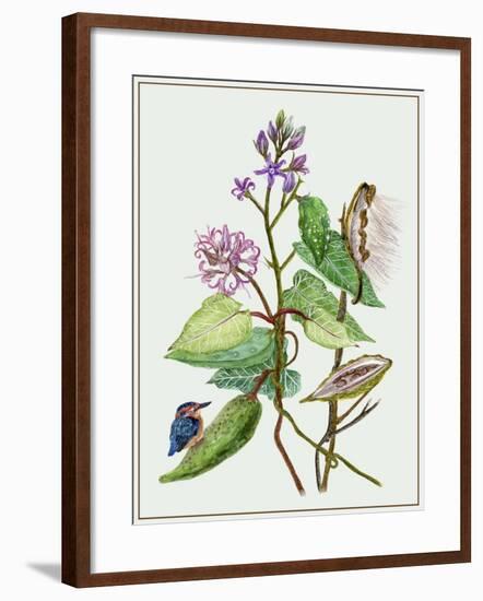 Metaplexis Japonica II-Melissa Wang-Framed Art Print