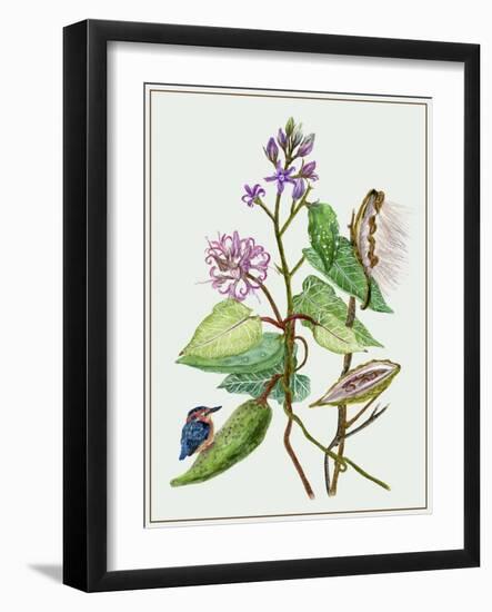 Metaplexis Japonica II-Melissa Wang-Framed Art Print