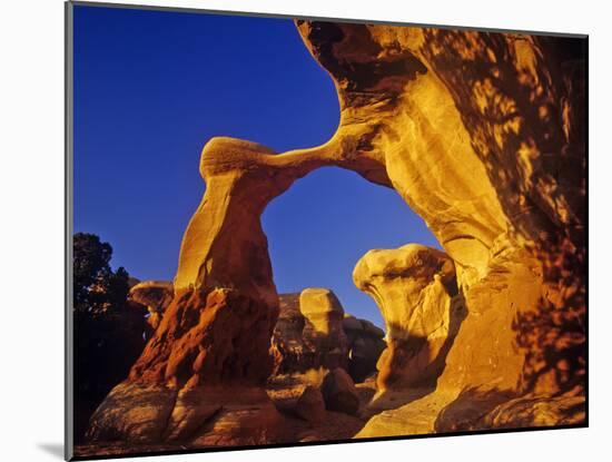 Metate Arch in Devils Garden in the Grand Staircase Escalante National Monument, Utah, USA-Chuck Haney-Mounted Photographic Print