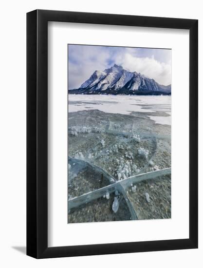 Methane bubbles frozen in ice, Abraham Lake, Alberta, Canada-Panoramic Images-Framed Photographic Print