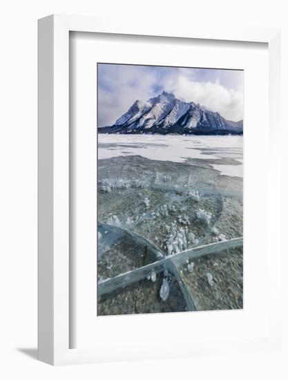 Methane bubbles frozen in ice, Abraham Lake, Alberta, Canada-Panoramic Images-Framed Photographic Print