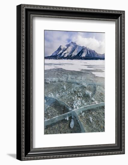 Methane bubbles frozen in ice, Abraham Lake, Alberta, Canada-Panoramic Images-Framed Photographic Print