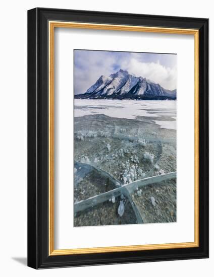 Methane bubbles frozen in ice, Abraham Lake, Alberta, Canada-Panoramic Images-Framed Photographic Print