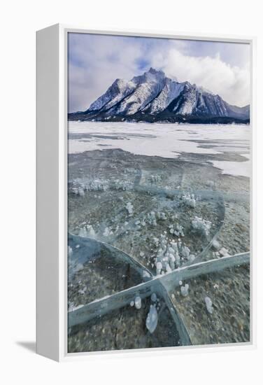 Methane bubbles frozen in ice, Abraham Lake, Alberta, Canada-Panoramic Images-Framed Premier Image Canvas