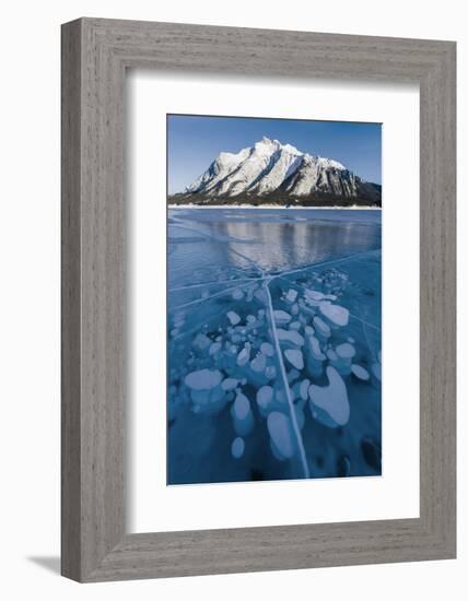 Methane bubbles frozen in ice below Mt. Michener, Abraham Lake, Alberta, Canada-Panoramic Images-Framed Photographic Print