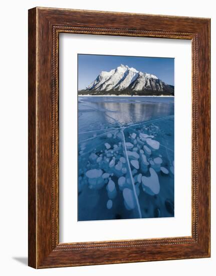 Methane bubbles frozen in ice below Mt. Michener, Abraham Lake, Alberta, Canada-Panoramic Images-Framed Photographic Print
