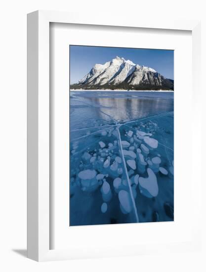 Methane bubbles frozen in ice below Mt. Michener, Abraham Lake, Alberta, Canada-Panoramic Images-Framed Photographic Print