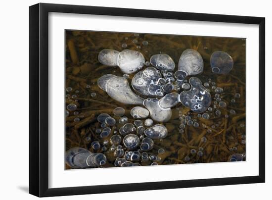 Methane Bubbles-Dr. Keith Wheeler-Framed Photographic Print