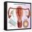 Methods of Female Birth Control-Gwen Shockey-Framed Premier Image Canvas