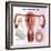 Methods of Female Birth Control-Gwen Shockey-Framed Giclee Print