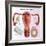 Methods of Female Birth Control-Gwen Shockey-Framed Giclee Print