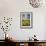 Methow Valley Wildflowers II-Alan Majchrowicz-Framed Photo displayed on a wall