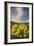 Methow Valley Wildflowers II-Alan Majchrowicz-Framed Photo