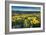 Methow Valley Wildflowers IV-Alan Majchrowicz-Framed Photo