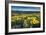 Methow Valley Wildflowers IV-Alan Majchrowicz-Framed Photo