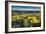 Methow Valley Wildflowers IV-Alan Majchrowicz-Framed Photo