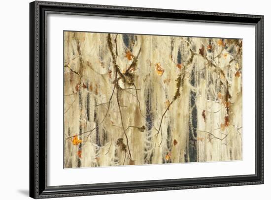 Methuselah's Beard Lichen on Maple Tree, Olympic NP, Washington, USA-Jaynes Gallery-Framed Photographic Print