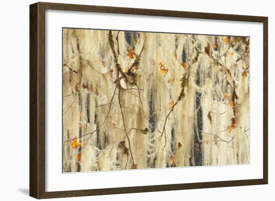 Methuselah's Beard Lichen on Maple Tree, Olympic NP, Washington, USA-Jaynes Gallery-Framed Photographic Print