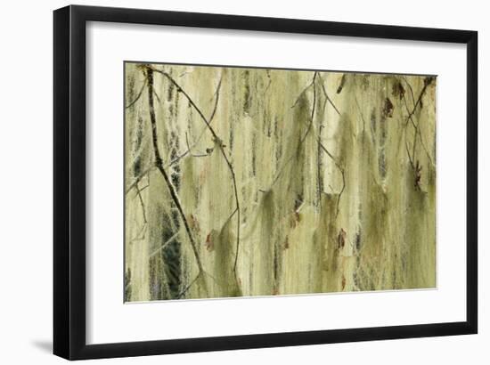 Methuselahs Beard-Don Paulson-Framed Giclee Print