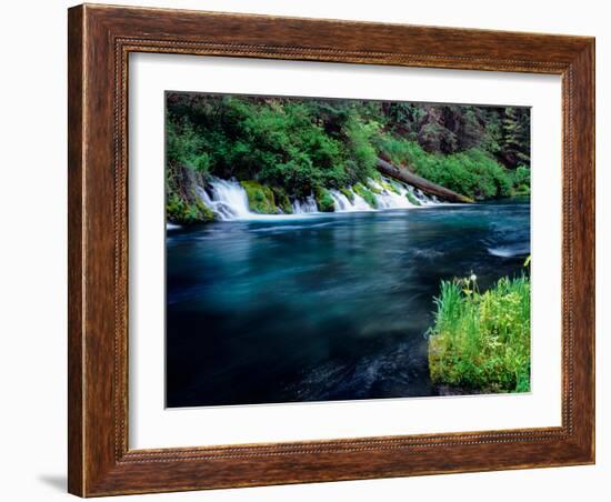 Metolius River near Camp Sherman, Deschutes National Forest, Jefferson County, Oregon, USA-null-Framed Photographic Print