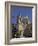 Metropolitan Cathedral, St. Paul Cathedral, Mdina, the Fortress City, Malta, Europe-Simon Montgomery-Framed Photographic Print