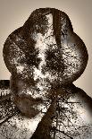 Collage of the Man in A Hat and Trees-metrs-Mounted Photographic Print