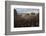 Mets Fans Bombarding the Field-null-Framed Photographic Print