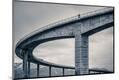 Premium Photographic Print