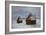 Meules, effet de neige, 1891-Claude Monet-Framed Giclee Print