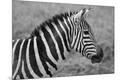Photographic Print