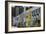 Mews Houses-Natalie Tepper-Framed Photo