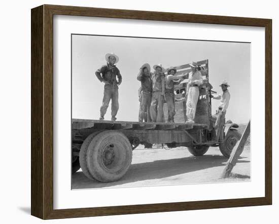 Mexican agricultural workers leave for the melon fields, Imperial Valley, California, 1935-Dorothea Lange-Framed Photographic Print