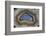 Mexican Banded Agate Quartzsite, Arizona-Darrell Gulin-Framed Photographic Print