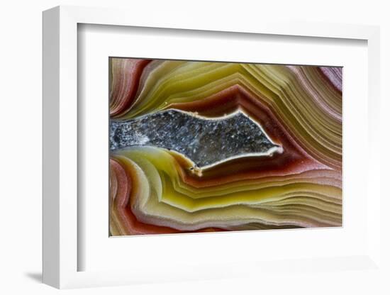 Mexican Banded Agate Quartzsite, Arizona-Darrell Gulin-Framed Photographic Print