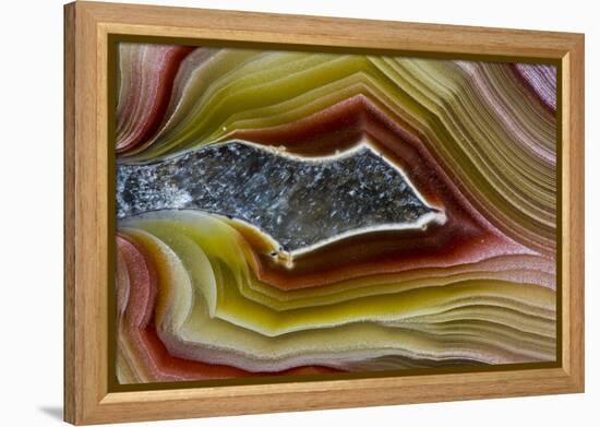 Mexican Banded Agate Quartzsite, Arizona-Darrell Gulin-Framed Premier Image Canvas