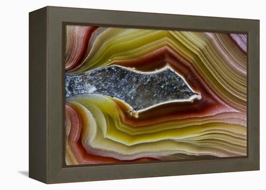 Mexican Banded Agate Quartzsite, Arizona-Darrell Gulin-Framed Premier Image Canvas