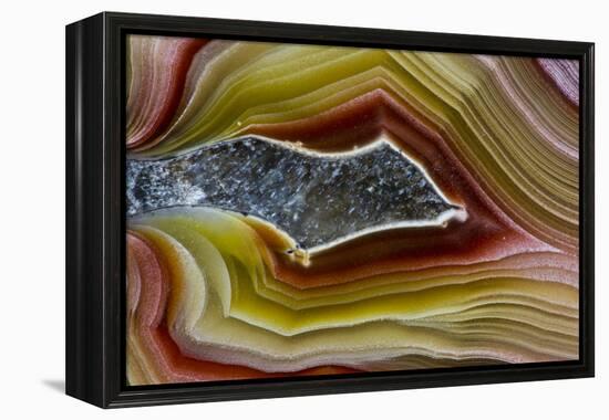 Mexican Banded Agate Quartzsite, Arizona-Darrell Gulin-Framed Premier Image Canvas