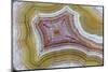 Mexican Banded Agate Quartzsite, Arizona-Darrell Gulin-Mounted Photographic Print