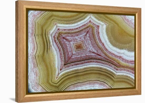 Mexican Banded Agate Quartzsite, Arizona-Darrell Gulin-Framed Premier Image Canvas