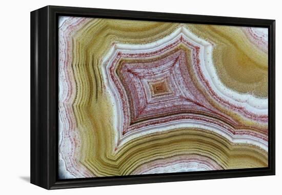 Mexican Banded Agate Quartzsite, Arizona-Darrell Gulin-Framed Premier Image Canvas