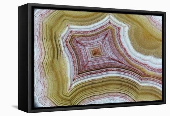 Mexican Banded Agate Quartzsite, Arizona-Darrell Gulin-Framed Premier Image Canvas