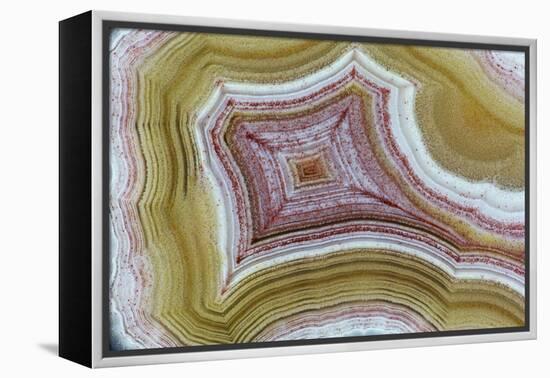 Mexican Banded Agate Quartzsite, Arizona-Darrell Gulin-Framed Premier Image Canvas