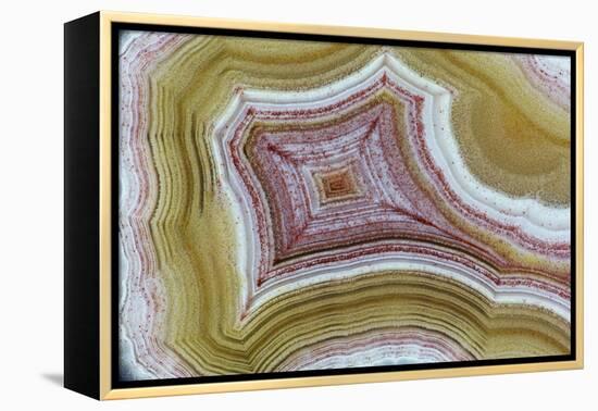 Mexican Banded Agate Quartzsite, Arizona-Darrell Gulin-Framed Premier Image Canvas