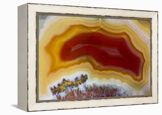 Mexican Banded Agate Quartzsite, Arizona-Darrell Gulin-Framed Premier Image Canvas